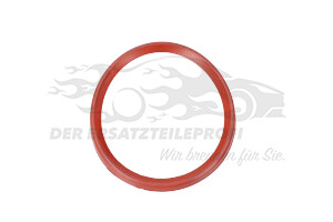 7701068601 Dichtring für Turboladerschlauch 