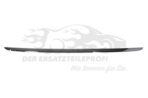 903721954R Zierleiste für Heckklappe chrom 