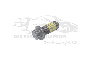 Schraube für Schwungrad 053756
