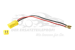 NV Lautsprecherkabel Tür 