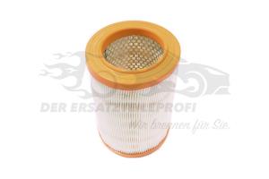 Luftfilter 6000633308