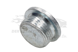 Ölablaßschraube Motor M22x1,5
