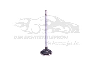Einlassventil 504072531