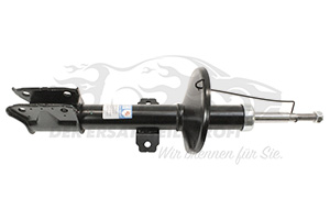 Stoßdämpfer 543026656R