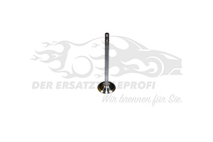 Einlassventil 7766564