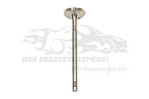 Einlassventil 7735898