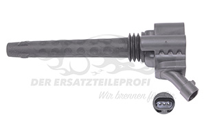 Zündspule 55213613