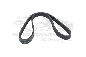7618111 Keilrippenriemen 5PK925 