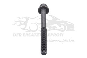55266118 Zylinderkopfschraube (VPE 10) 