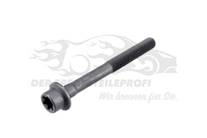 55266118 Zylinderkopfschraube (VPE 10) 