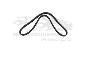 Keilrippenriemen 6PK1225 Doppelseitig