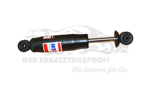 Stoßdämpfer hinten