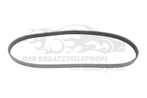 Keilrippenriemen Dayco / Hutchinson / SKF / Optibelt 9664069380