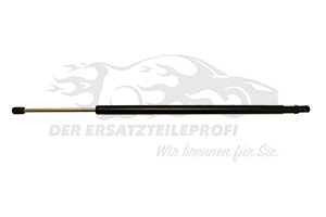 1498071080 Heckklappendämpfer 