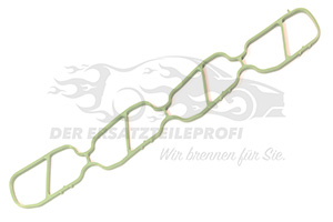 Dichtung Ansaugkrümmer grün einteilig