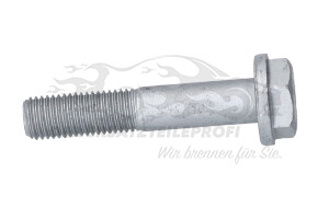 7703002735 Schraube für Kugelbolzen M10 x 1,25 mm 