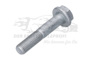 7703002735 Schraube für Kugelbolzen M10 x 1,25 mm 