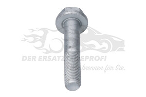 7703002735 Schraube für Kugelbolzen M10 x 1,25 mm 