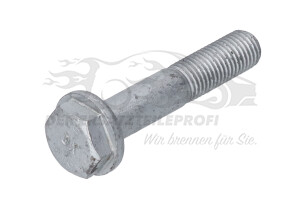 7703002735 Schraube für Kugelbolzen M10 x 1,25 mm 