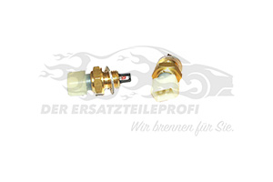 Sensor Ansauglufttemperatur