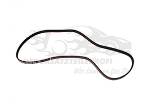 Keilrippenriemen Dayco/Gates/Hutchinson/INA/Optibelt 7700273010