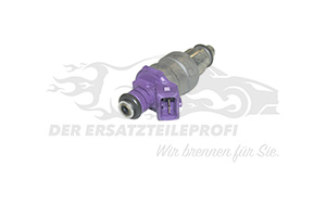 Einspritzventil 8200603801
