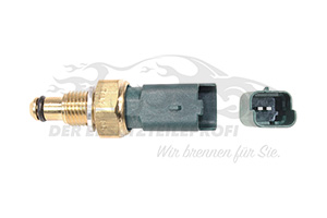Kraftstofftemperatursensor 166391343R