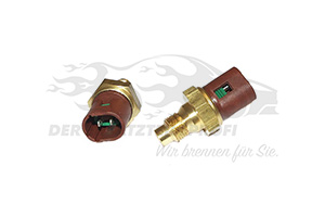 Sensor für Temperaturanzeige