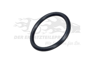 8200068583 Dichtung (groß) Luftfilterseitig Renault