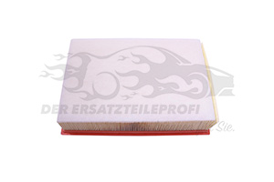 Luftfilter 165465171R