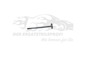 Einlassventil 