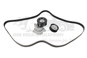 Keilrippenriemen Renault 117209708R