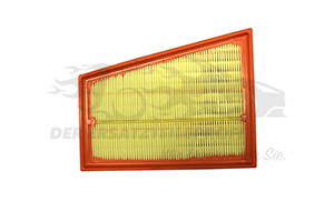 Luftfilter 165462862R
