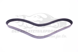 Keilrippenriemen 119200054R