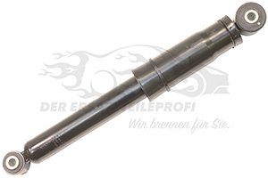 Stoßdämpfer hinten