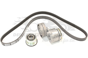 Keilrippenriemen Renault 117208883R