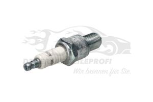 NV Zündkerze Champion