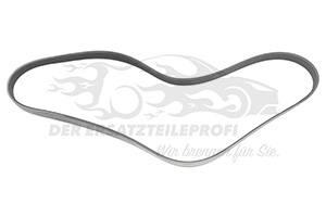 Keilrippenriemen Dayco/Gates/Hutchinson/INA/Optibelt 8200833580