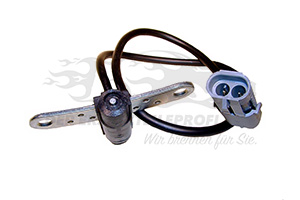 Kurbelwellensensor