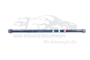 Drehstab für Hinterachse Renault 8200048905