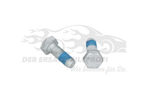 410601334R Bremsbeläge vorne Renault