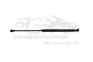 Heckklappendämpfer
