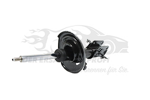 543025668R Stoßdämpfer vorne Renault