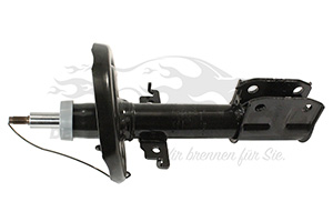 Stoßdämpfer Renault 543022646R