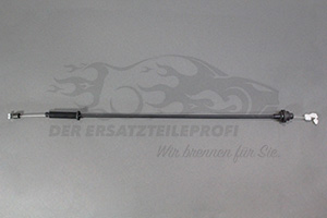 Gaszug