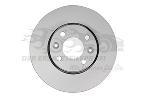 7701210081 Bremsscheibensatz vorne 258mm 
