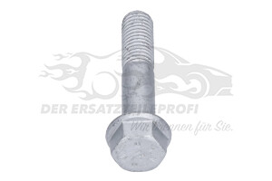7703002731 Schraube für Stoßdämpfer Vorderachse 