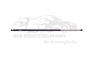 Heckklappendämpfer links oder rechts