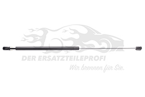 Heckklappendämpfer links oder rechts