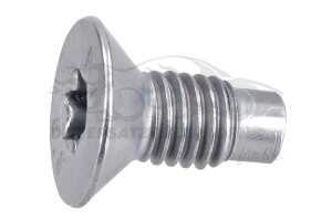 7703004176 Fixierschraube für Bremsscheibe u.Trommel (VPE 10) 